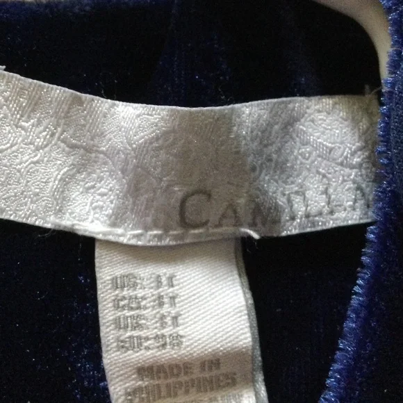 ✔️ Camilla Velvet Ruffle Sing Dress in Toddler Size 3 - Picture 5 of 5